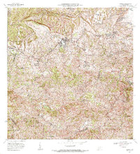 Corozal 1972 topographic map thumbnail