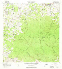 El Yunque 1967 topographic map thumbnail