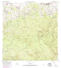 El Yunque 1967 topographic map thumbnail
