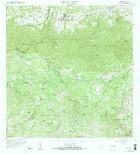 Florida 1957 topographic map thumbnail
