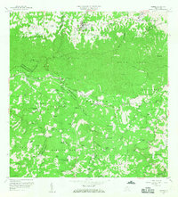 Florida 1957 topographic map thumbnail