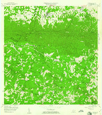 Florida 1957 topographic map thumbnail