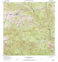Jayuya 1960 topographic map thumbnail