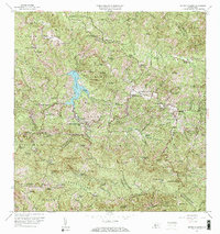 Monte Guilarte 1960 topographic map thumbnail
