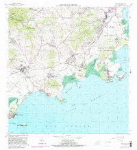 Naguabo 1967 topographic map thumbnail