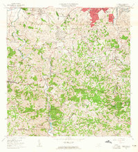 Naranjito 1963 topographic map thumbnail