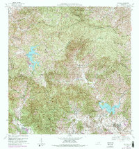 Patillas 1972 topographic map thumbnail