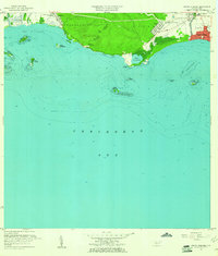 Punta Cucharas 1958 topographic map thumbnail