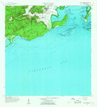 Punta Verraco 1958 topographic map thumbnail