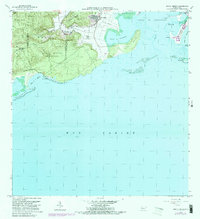 Punta Verraco 1966 topographic map thumbnail