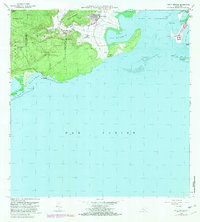 Punta Verraco 1966 topographic map thumbnail