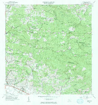 Rosario 1964 topographic map thumbnail