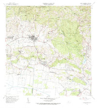 Sabana Grande 1966 topographic map thumbnail