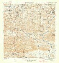Aguas Buenas 1946 topographic map thumbnail