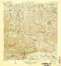 Aguas Buenas 1946 topographic map thumbnail