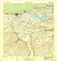Arecibo 1946 topographic map thumbnail