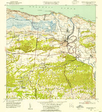 Barceloneta 1953 topographic map thumbnail