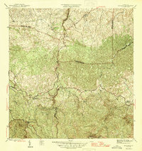 Bayaney 1946 topographic map thumbnail