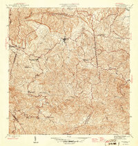 Corozal 1946 topographic map thumbnail