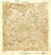 Corozal 1946 topographic map thumbnail