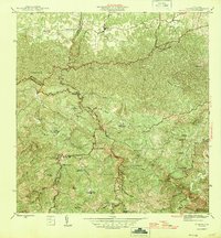Florida 1946 topographic map thumbnail