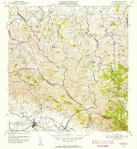 Gurabo 1955 topographic map thumbnail