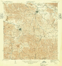 Juncos 1946 topographic map preview