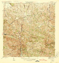 Naranjito 1946 topographic map thumbnail