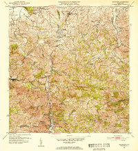 Naranjito 1952 topographic map thumbnail