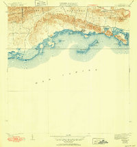 Parguera 1938 topographic map preview