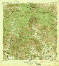 Patillas 1946 topographic map thumbnail