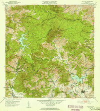 Patillas 1952 topographic map thumbnail