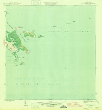 Punta Puerca 1946 topographic map thumbnail