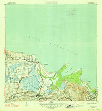 Rio Grande 1947 topographic map thumbnail
