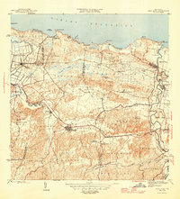 Vega Alta 1946 topographic map thumbnail