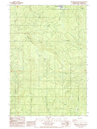 Abernathy Mountain 1986 topographic map thumbnail