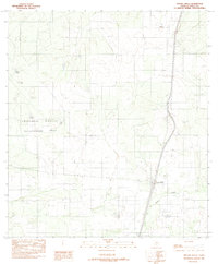 Artesia Wells 1982 topographic map thumbnail
