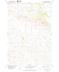 Blacktail Creek SE 1979 topographic map thumbnail