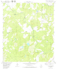 Blanket Springs 1979 topographic map thumbnail