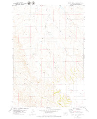 Board Corral Creek 1979 topographic map thumbnail