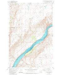 Bridgeport Point 1980 topographic map thumbnail