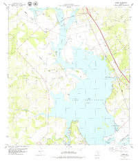 Dinero 1979 topographic map thumbnail