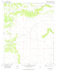 George Ranch 1978 topographic map thumbnail