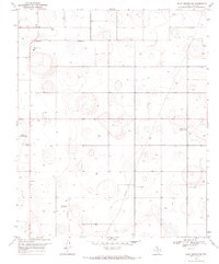 Hale Center SW 1968 topographic map thumbnail