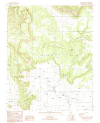 Mesa Chupinas 1989 topographic map thumbnail