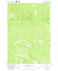 Niagara Creek 1979 topographic map thumbnail