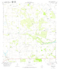 Paisano Lake 1979 topographic map thumbnail