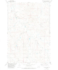 Piney Butte SW 1981 topographic map thumbnail