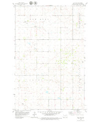 Ray NW 1978 topographic map thumbnail