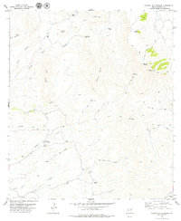 Ruidosa Hot Springs 1979 topographic map thumbnail